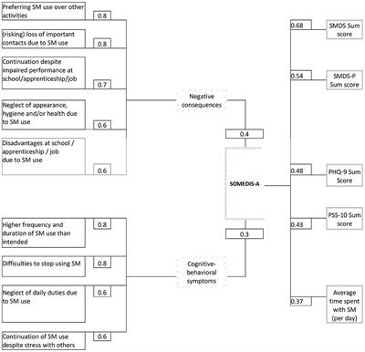 ICD-11-Based Assessment of Social Media Use Disorder in Adolescents: Development and Validation of the Social Media Use Disorder Scale for Adolescents